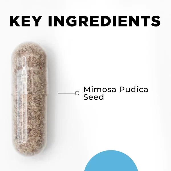 Para 1 - Image 3